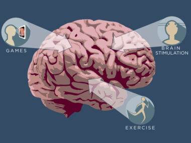 Cognitive Exercise