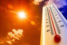 Heat Stress during summer